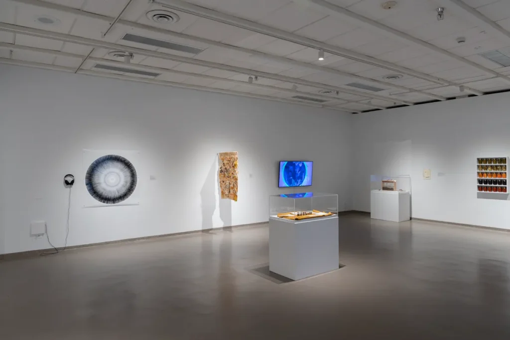 Wide view of the displayed artworks in the gallery space.