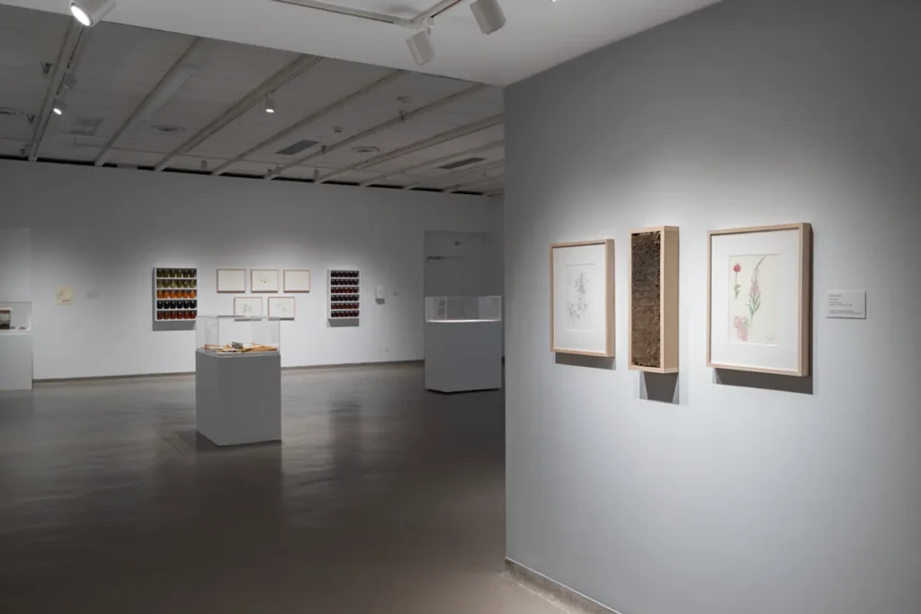 Wide view of the displayed artworks in the gallery space.
