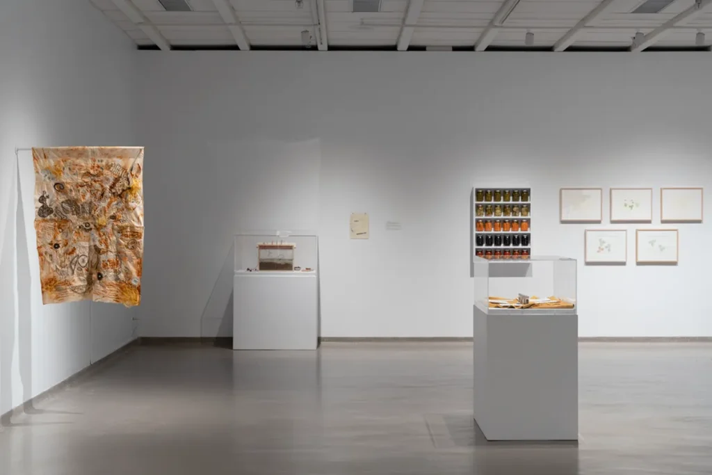Wide view of the displayed artworks in the gallery space.