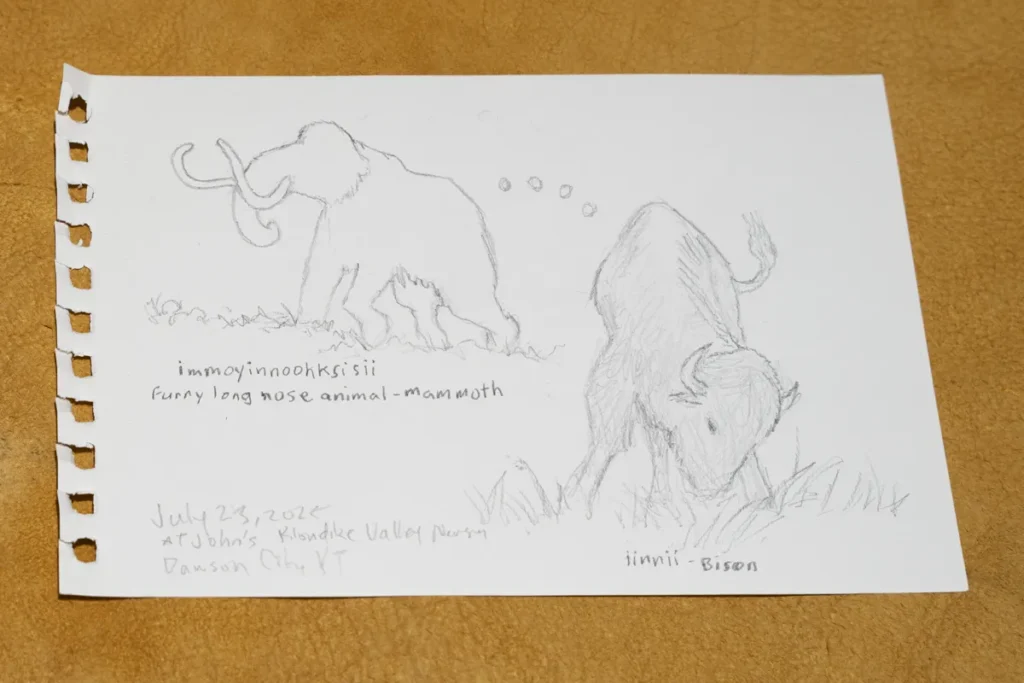 Pencil drawing of a mammoth and a bison.