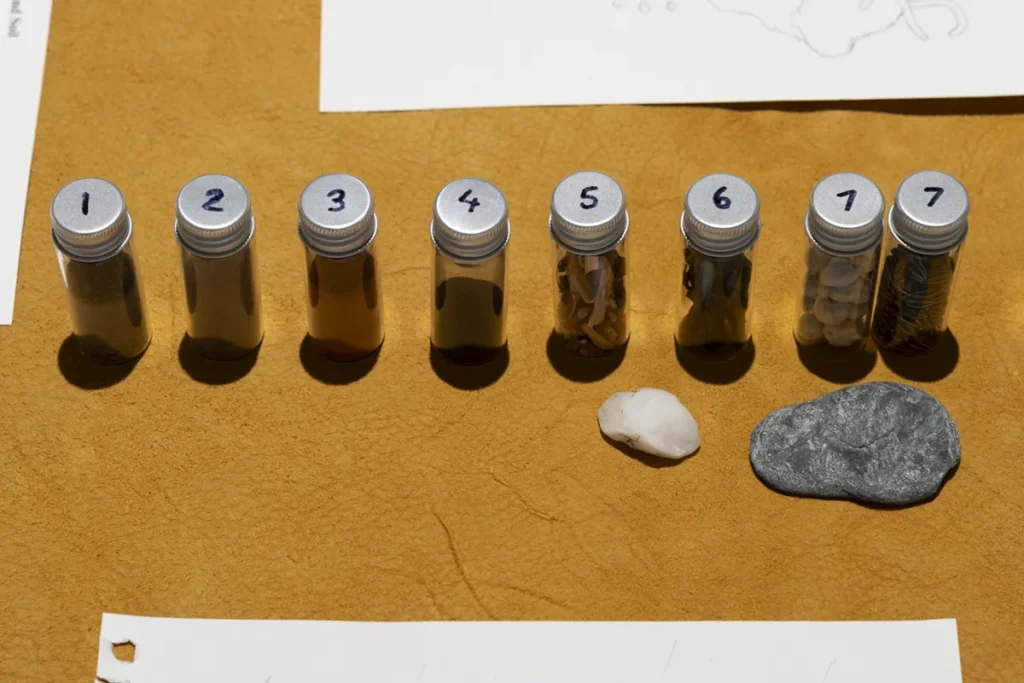 Eight small glass tubes containing seeds displayed together.