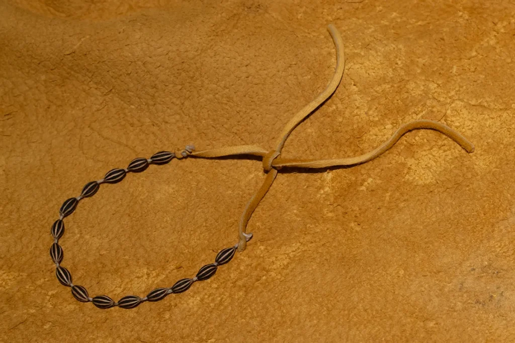 Seeds threaded on a sinew string.
