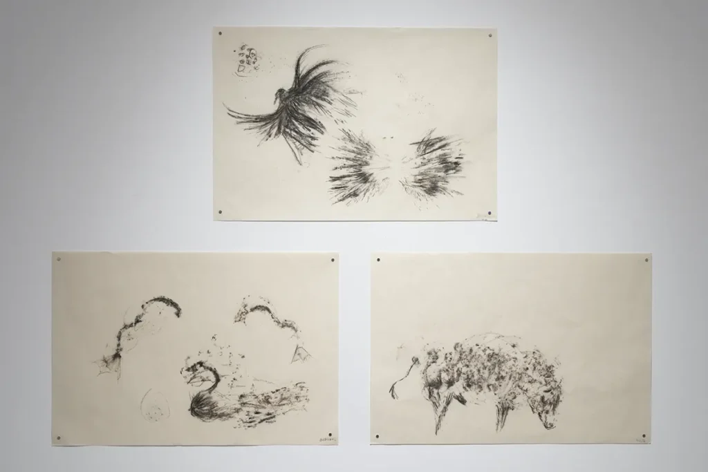 Three charcoal animal drawings displayed on a wall.
