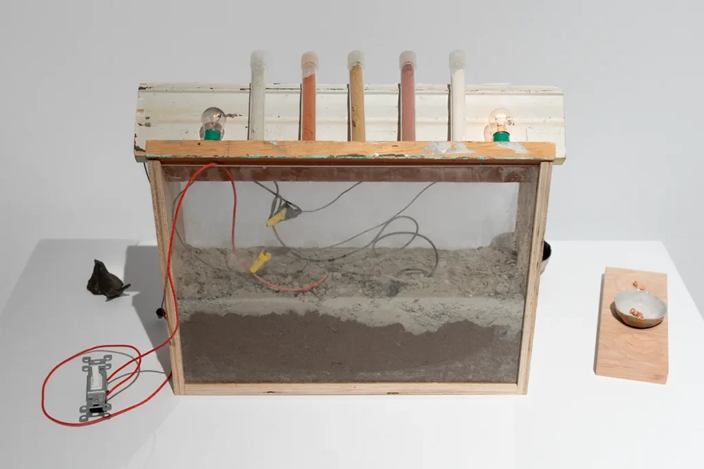 Glass soil display with sample tubes, wires, and two light bulbs.