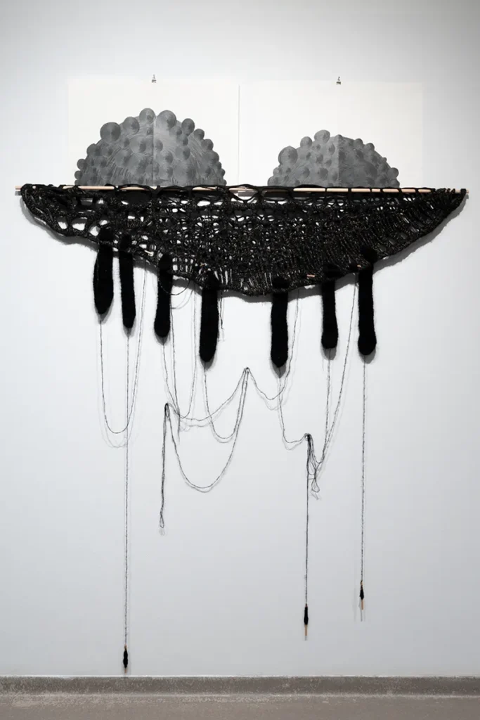 Wall-mounted mixed media artwork featuring two drawings within a fiber installation with drooping elements.