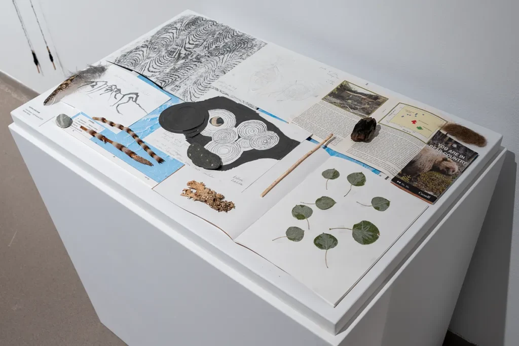 Prints and small objects arranged together on a display surface.