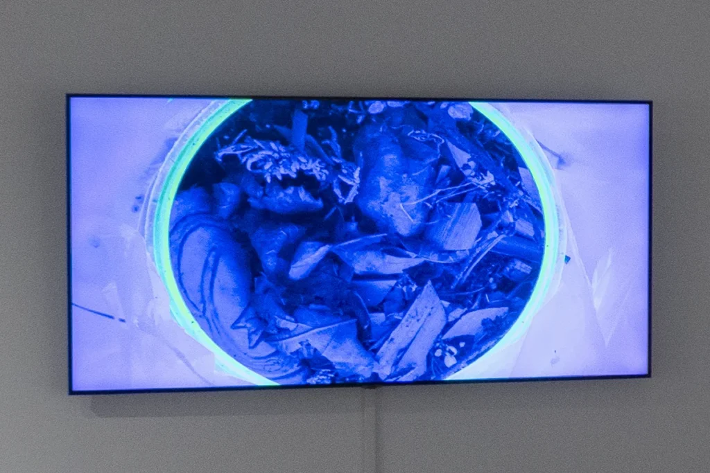 Still from the video artwork